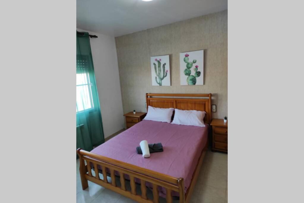 Els Muntells Casa Castro 빌라 외부 사진